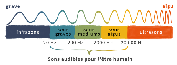 Entre 20 hertz et 20 000 hertz ce sont les sons audibles pour l’être humain du grave à l’aigu.