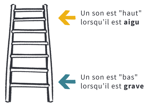 Un son est haut lorsqu’il est aigu. Un son est bas lorsqu’il est grave.