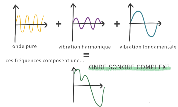 L’onde sonore complexe est composée d’une onde pure, d’une vibration harmonique et d’une vibration fondamentale. 
