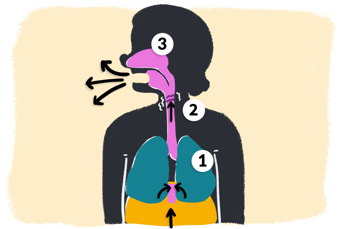 Schéma de l'air dans les poumons
